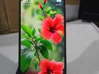 Xiaomi Redmi Note 13 ৬/১২৮ (Used)