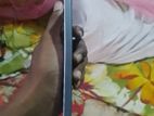 Xiaomi Redmi Note 13 Pro . (Used)