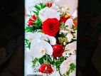 Xiaomi Redmi Note 13 Pro Plus (Used)