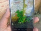 Xiaomi Redmi Note 5 4/64 (Used)