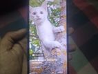 Xiaomi Redmi Note 7 Pro ৪/৬৪ (Used)
