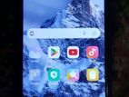 Xiaomi Redmi Note 8 4/64 (Used)