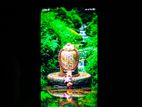 Xiaomi Redmi Note 8 . (Used)