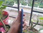 Xiaomi Redmi Note 8 (Used)