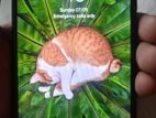 Xiaomi Redmi Note 9 (4-128) (Used)