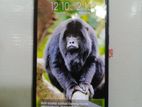 Xiaomi Redmi Note 9 Ram 4gb, Room 128 (Used)