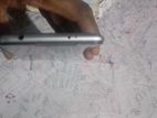 Xiaomi Redmi S2 ` (Used)