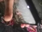 Xiaomi Redmi13c ` (Used)