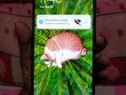 Xiaomi Redmi13c রেম ৮/রুম২৫৬ (Used)