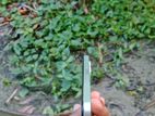 Xiaomi Redmi13c (Used)
