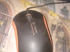 Mouse for sell