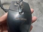 Mouse for sell