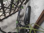 Yamaha Alba cycle 2023