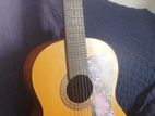 Yamaha Classical C315 guiter for sell