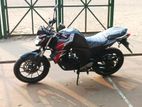 Yamaha FZs V2 2024