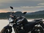 Yamaha FZs V2 2024