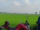 Yamaha FZS V3 2023