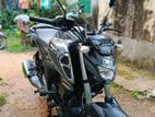 Yamaha FZS V3 ` 2024