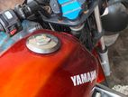 Yamaha Libero . 2009