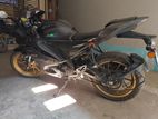 Yamaha R15 . 2024