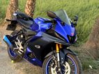 Yamaha R15 2024