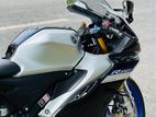 Yamaha R15 M . 2023