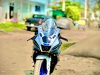 Yamaha R15 M 2024