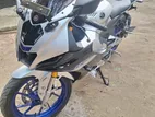 Yamaha R15 M 2024