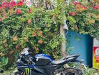 Yamaha R15 M . 2024
