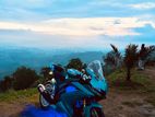 Yamaha R15 . 2021