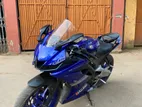 Yamaha R15 . 2021
