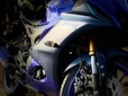 Yamaha R15 . 2022