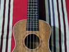 Yamaha Ukulele 24"