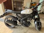 Yamaha XSR 155 2021