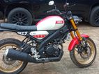 Yamaha XSR 155 . 2022