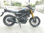 Yamaha XSR fresh bike 2024