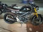 Yamaha XSR fresh bike 2024