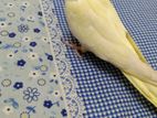 yellow Pearl cockatiel