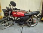 Zaara 100 . 2008