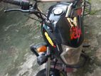 Zaara 100 2017