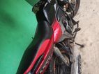 Zaara 100 2019
