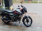 Zaara 100 2022
