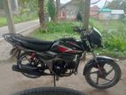 Zaara 100 2022
