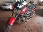 Zaara 100 . 2022