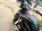 Zaara 100 ' 2020