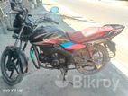 Zaara 100 ' 2010