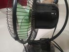Zabeen Fan