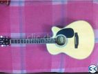 Zealux Guitar Sale