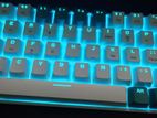 ziyoulang t8 rgb backlight mechanical keyboard