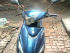 ZNEN Jog ` 2022